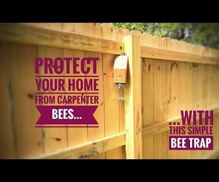 Quick and Easy Carpenter Bee Trap