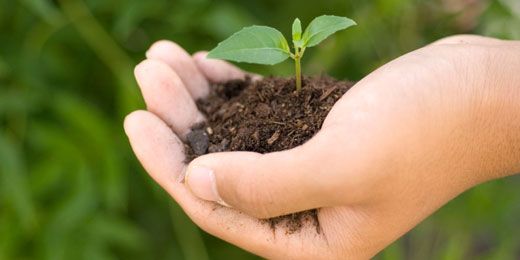 Crown Eco Management-Guiding Principles