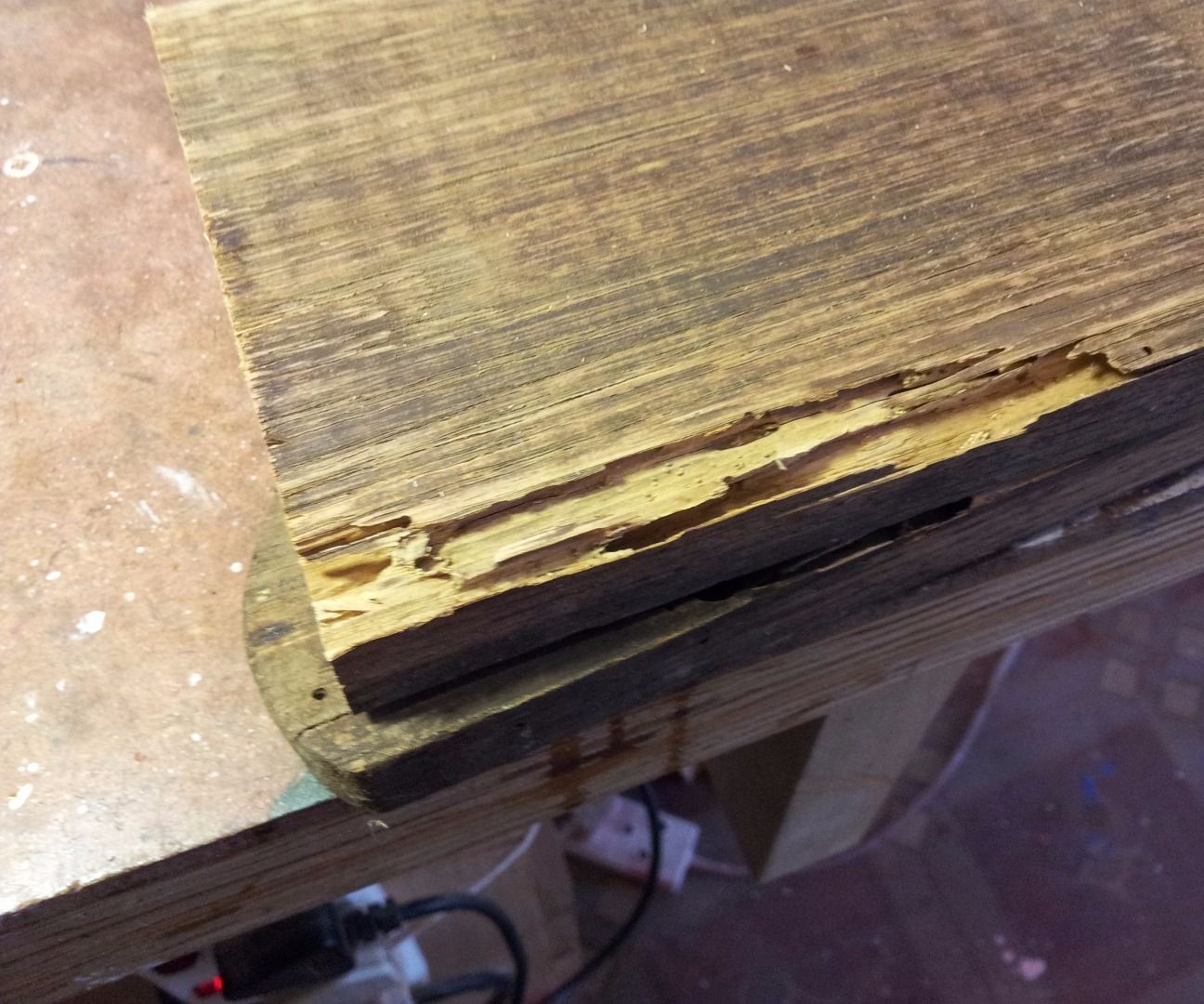 Microwave Solution for Woodworm