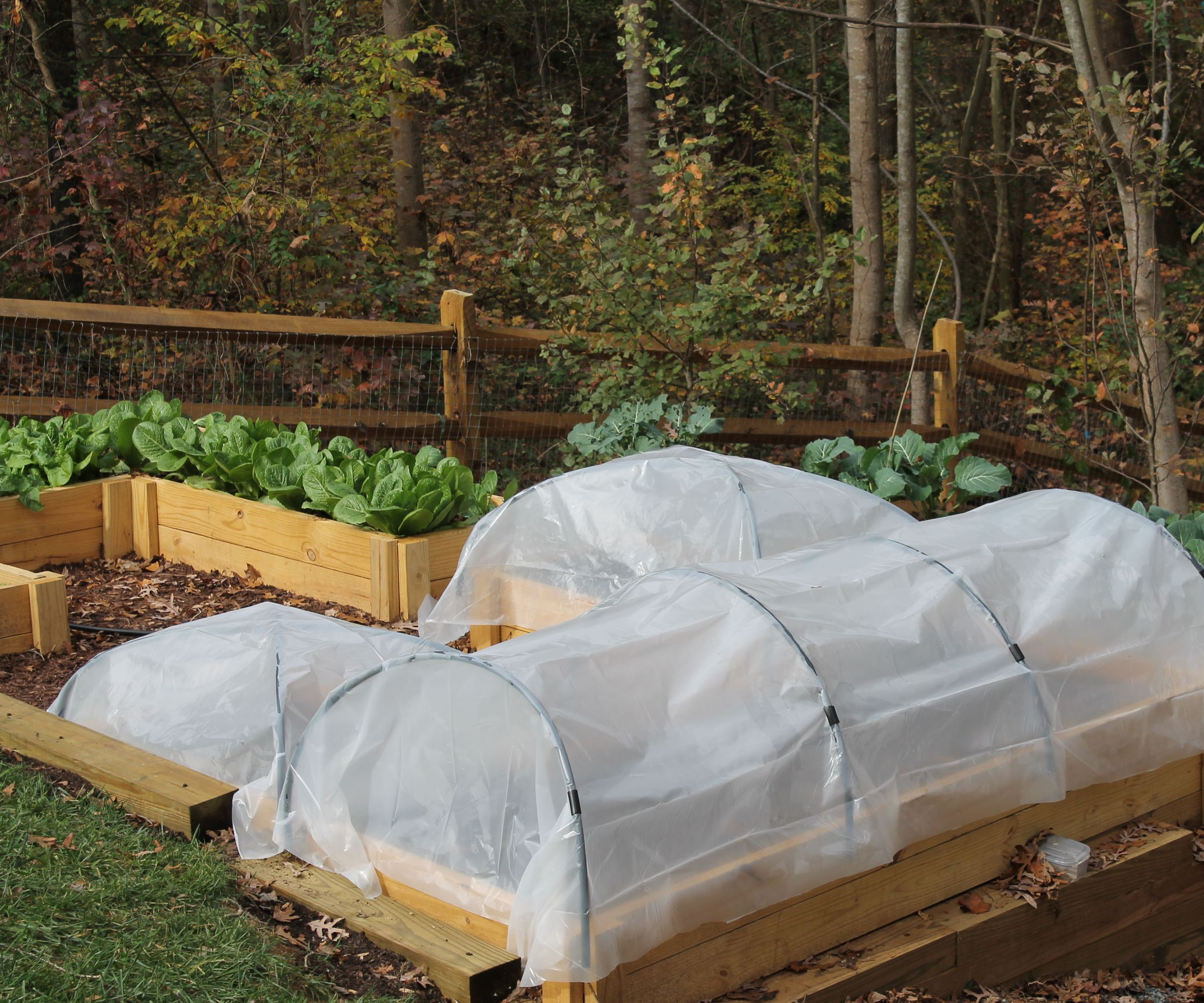 Simple Hoop Houses for Raised Beds