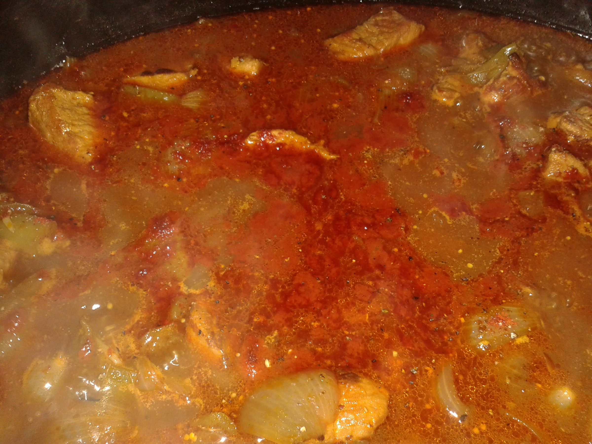 Hot German Paprika Goulash Recipe (with Pictures) Instructables