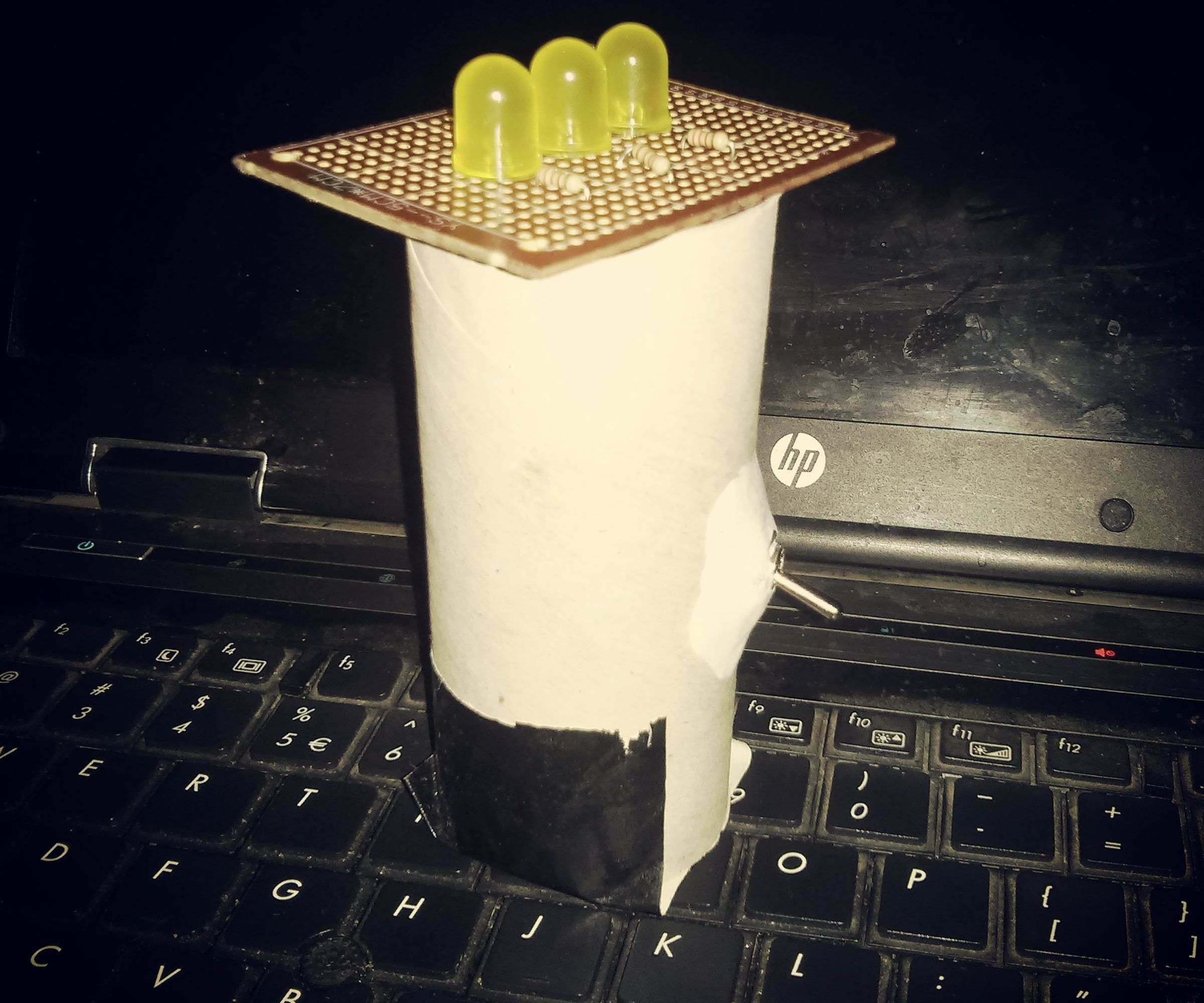 Toilet Paper Tube Torch