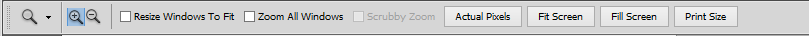 Zoom Tool