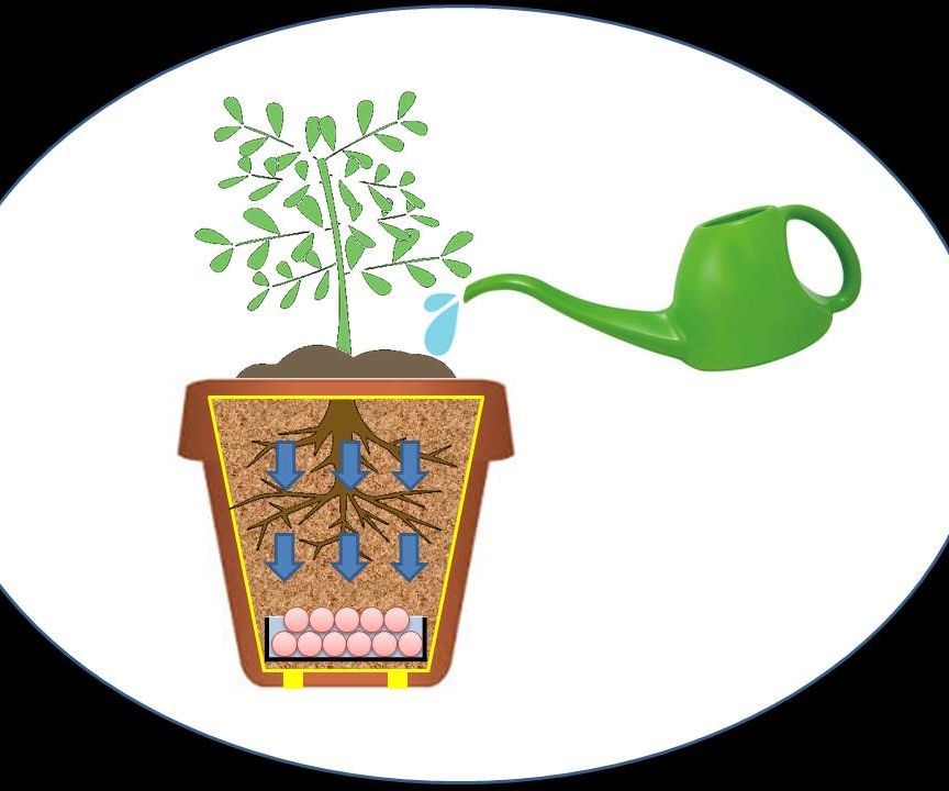 Subterranean Water Reservoir Planter