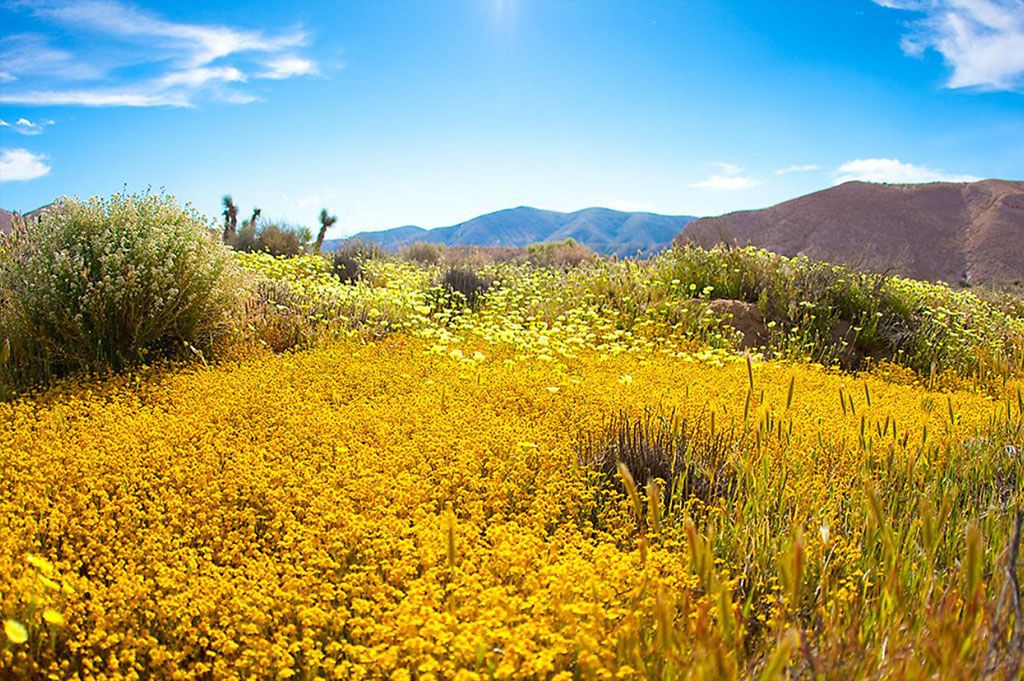 Using Hyperfocal Distance