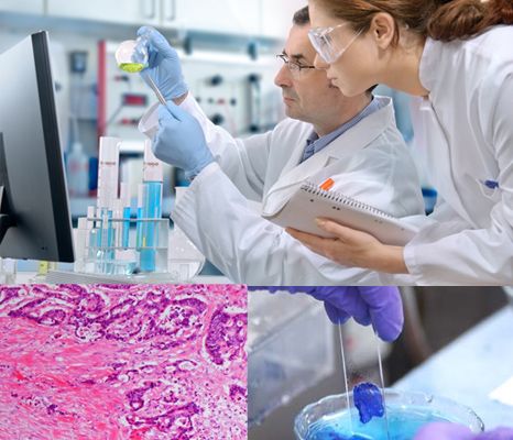 Medical Laboratory and Its Services