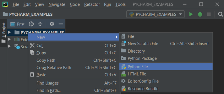 Creating a Python Script in PyCharm