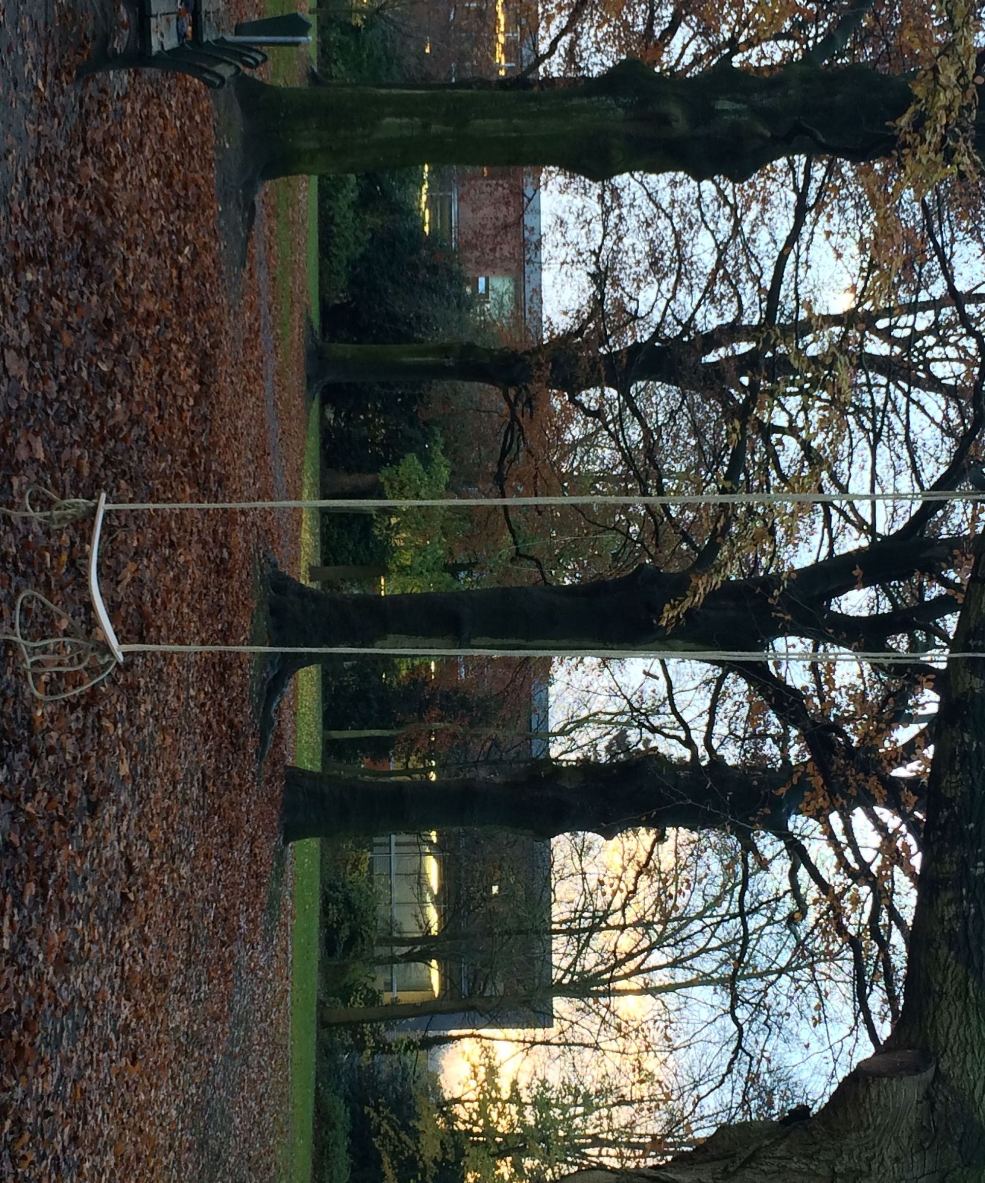 Swing