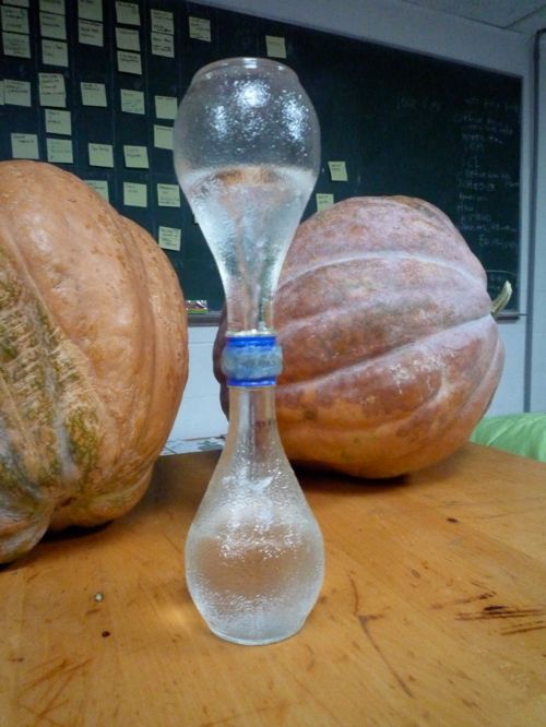 Water Vortex Bottle