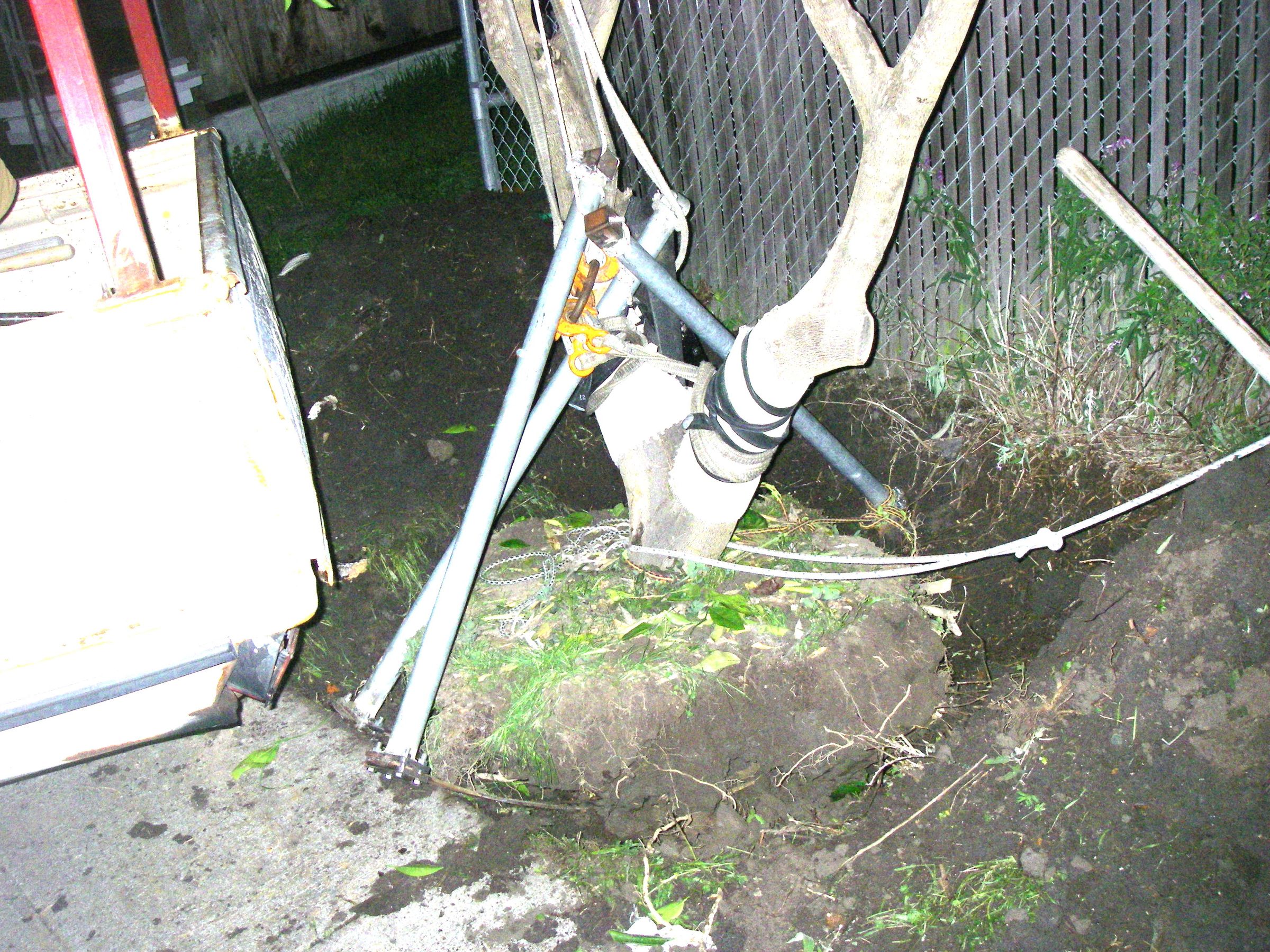 How to Move a Tree, Vehicle and A-frame Method : 17 Steps (with ...