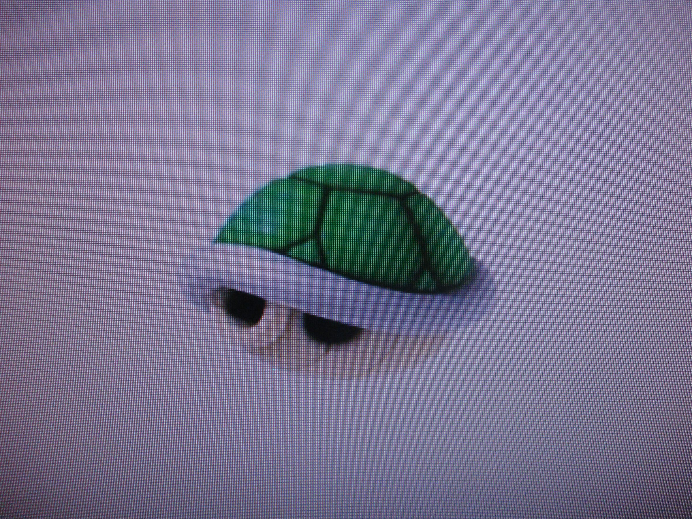 The Mario Kart Wii Guide by Fishfrog27   Part 2