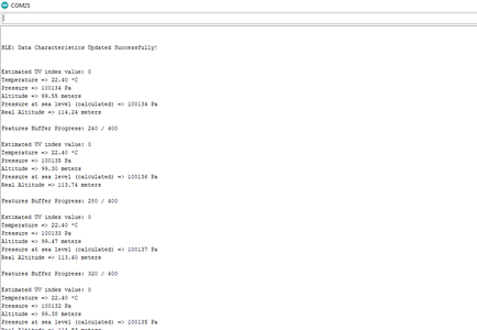 Running the Model on XIAO BLE to Make Predictions on Sun Damage Risk Levels