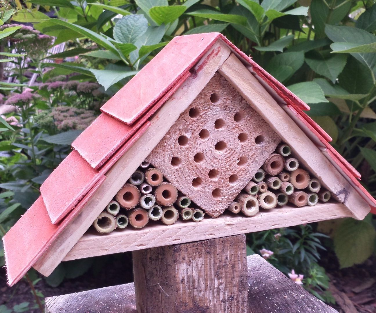 Bee Hotel