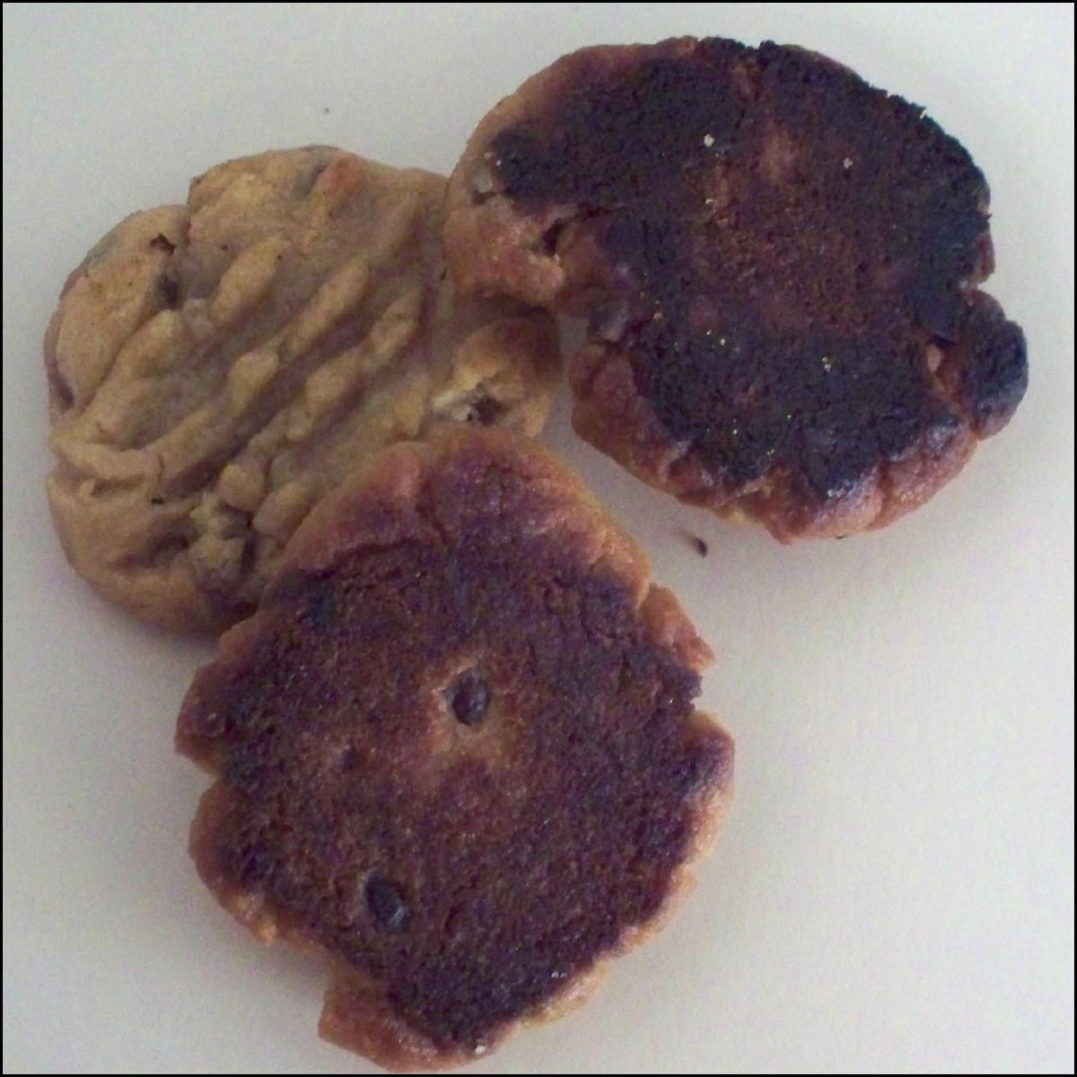 Make a Cookie Scraper to Save the Day!