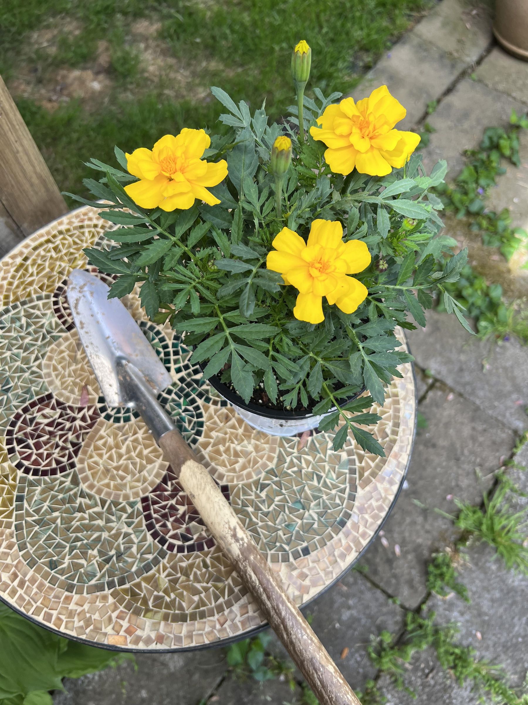 Flower Pot Umbrella Stand 11 Steps (with Pictures) Instructables