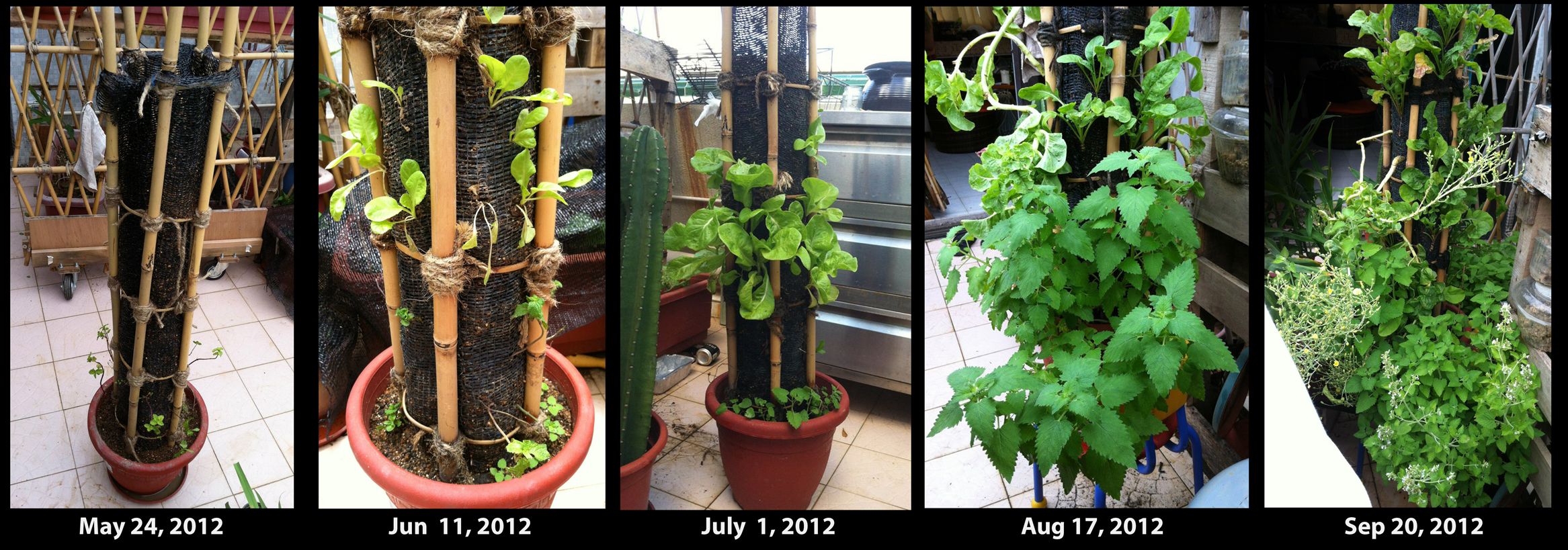 DIY Vertical Planter