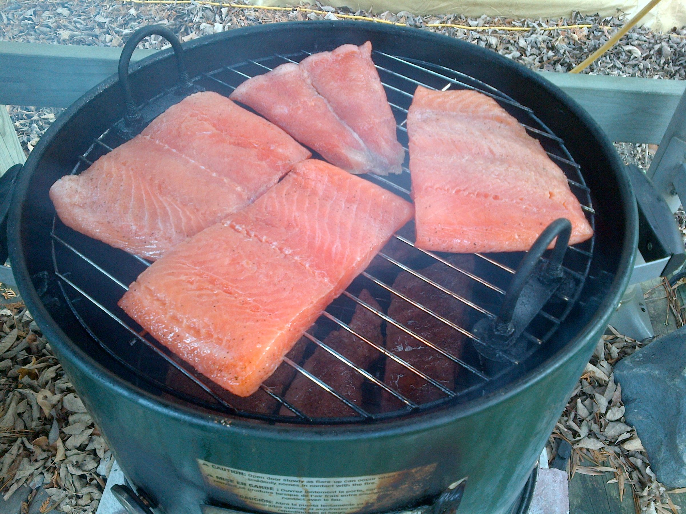 Smoker Smoked Salmon