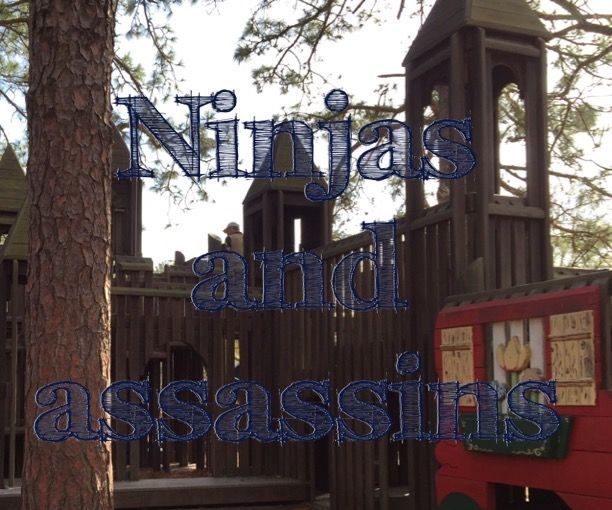 Ninjas and Assasins