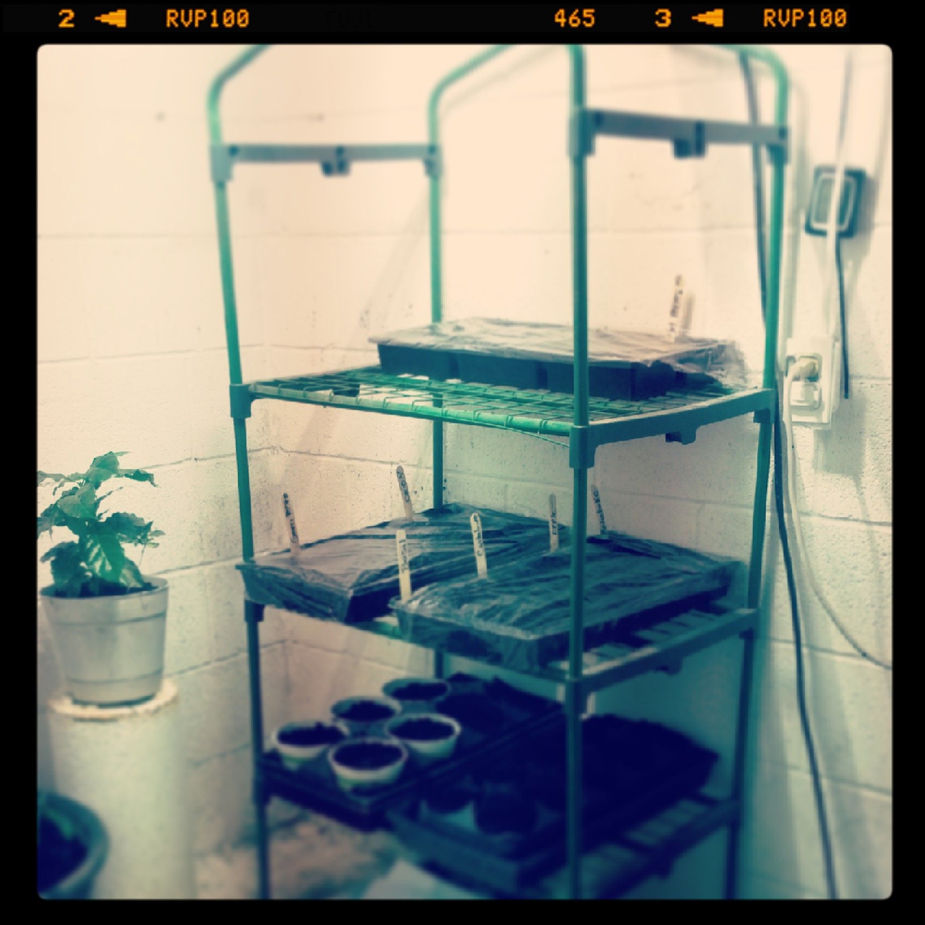 Turning a Well Room Into a Year Round Growroom
