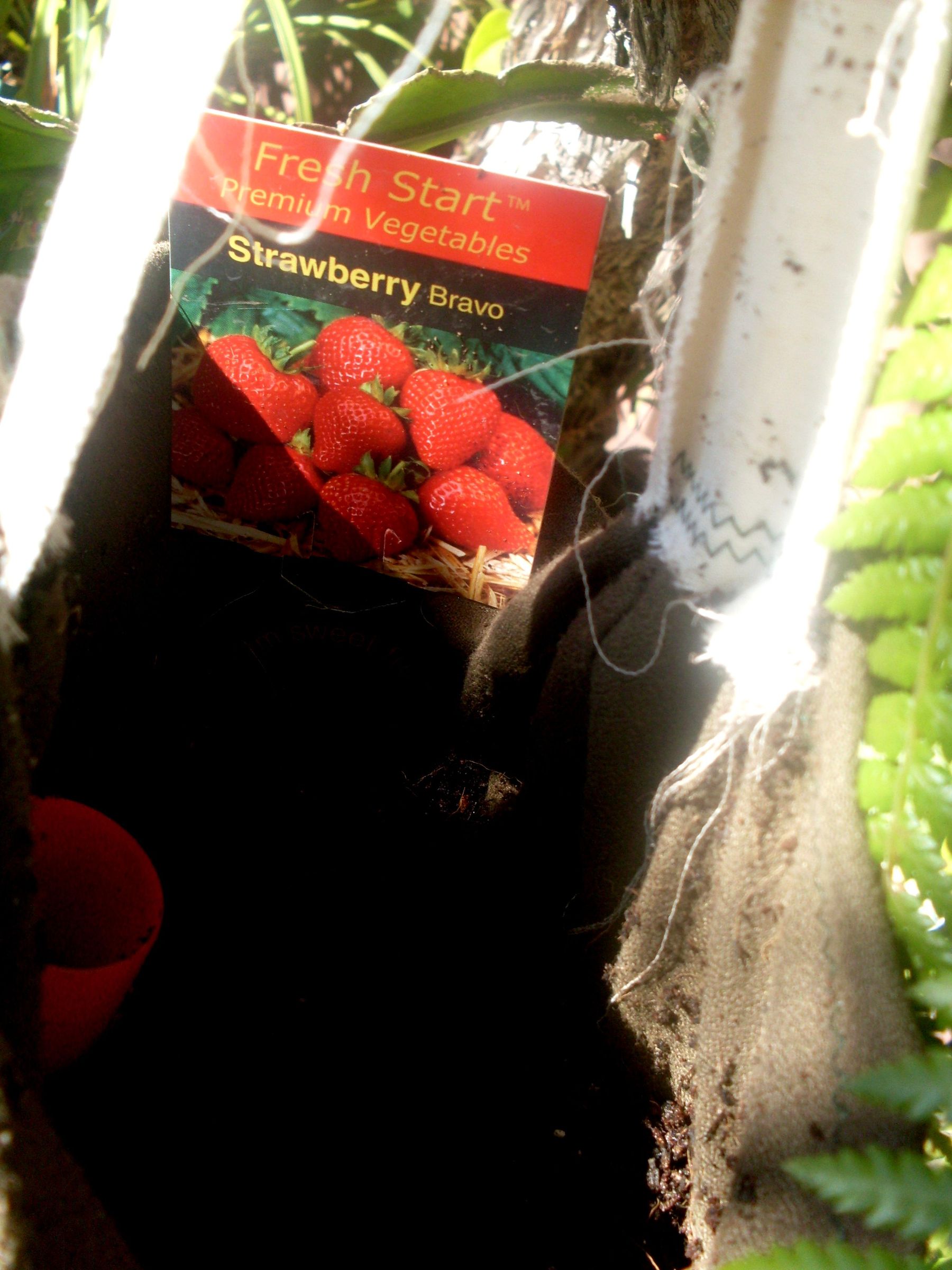 Sew a GrowBag or Upside Down Planter Bag (with Pictures) Instructables