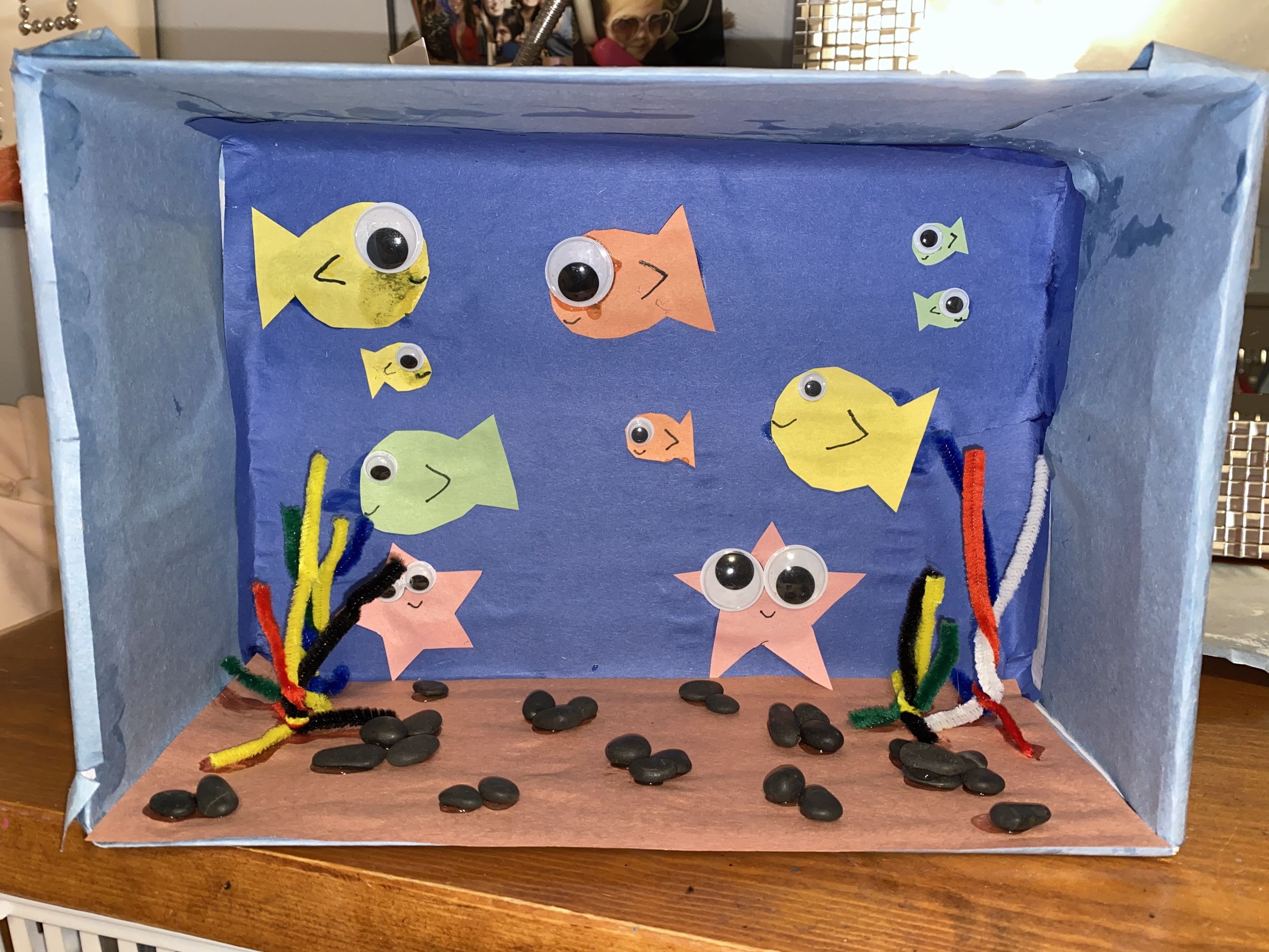 The Shoebox Aquarium : 10 Steps - Instructables