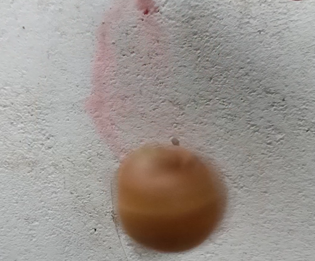 High Speed Rubber Band SPINNER