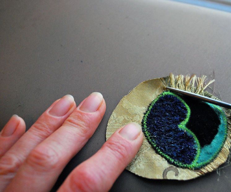 The Eye of the Peacock (Feather)