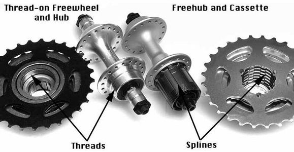 Replacing a Freehub Body on a Rear Bicycle Wheel. : 9 Steps - Instructables
