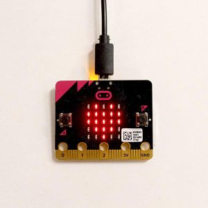 Using Two Micro Bits to Control Micro Bot EHMS : 3 Steps - Instructables