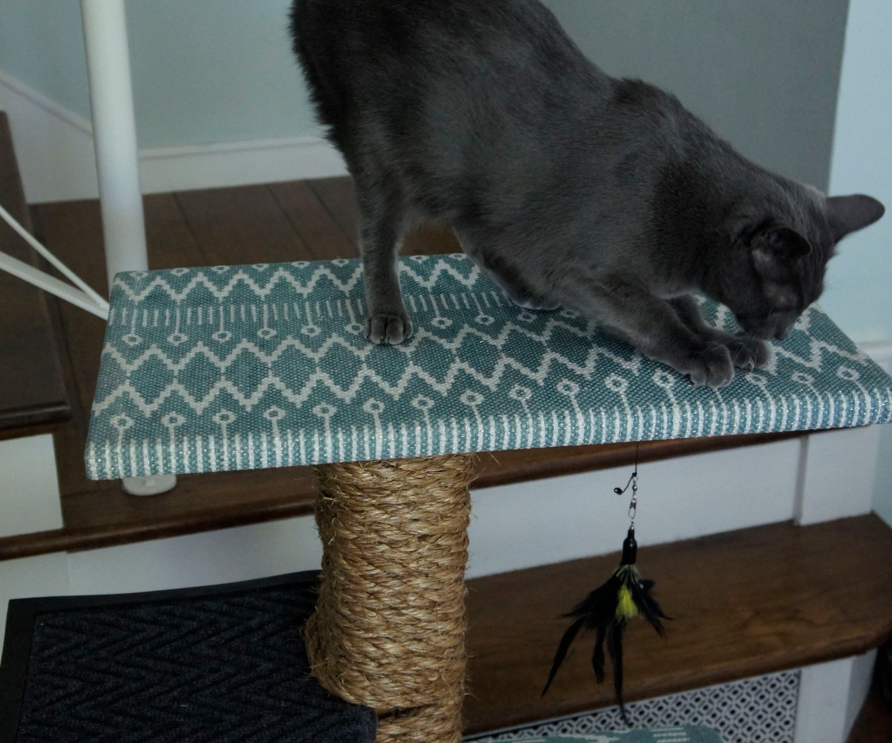 Custom Cat Scratcher W/ Removable Covers