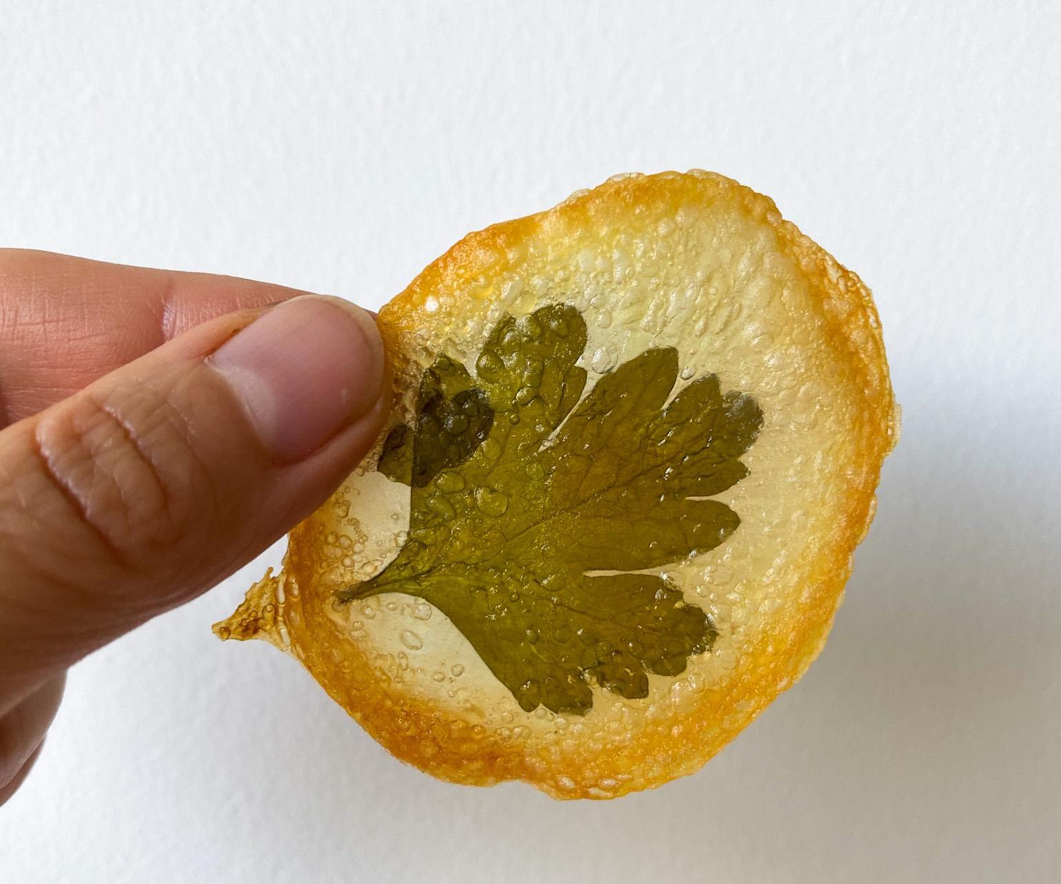 Laminated Potato Chips