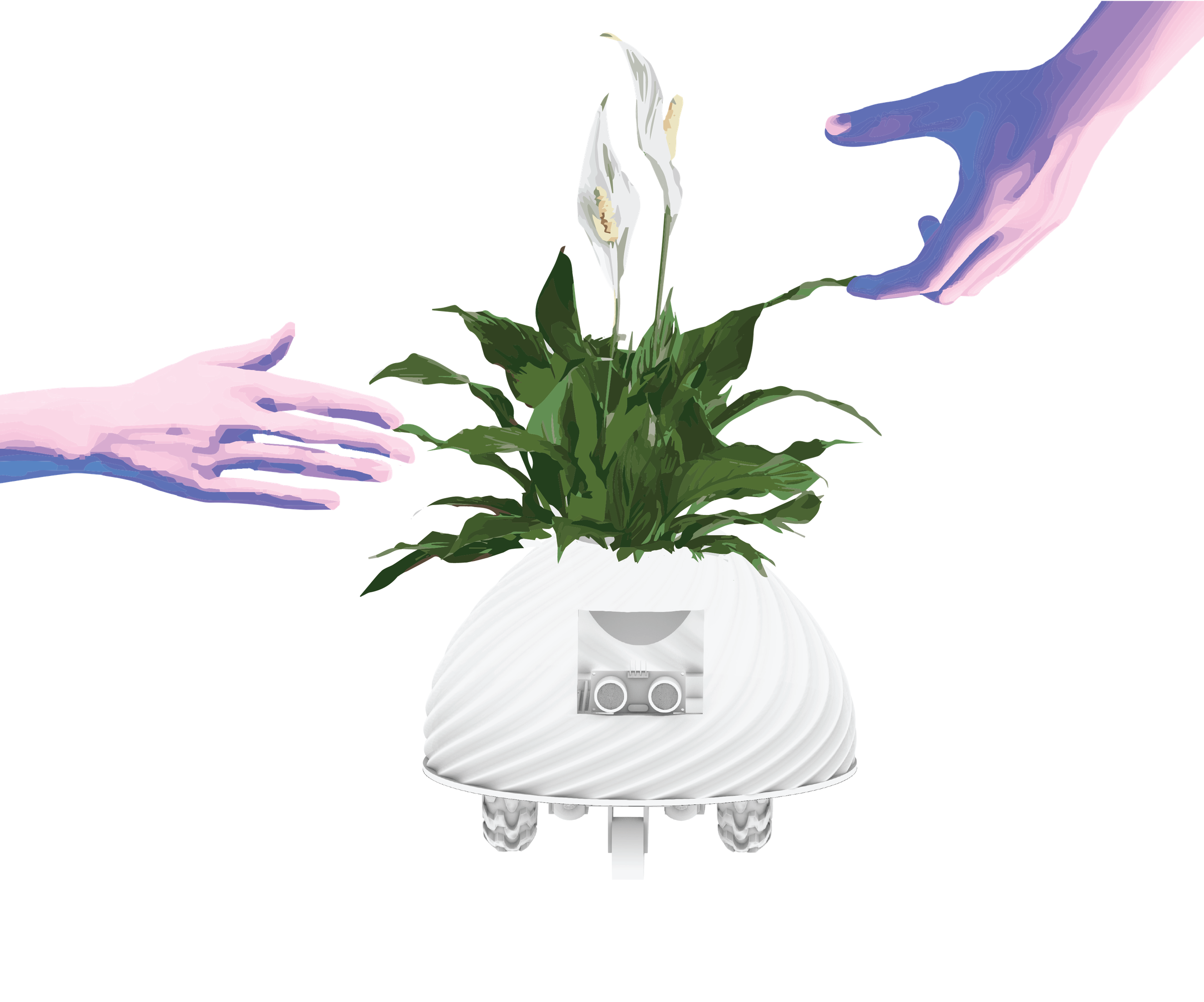 Emotionally Unavailable Plant