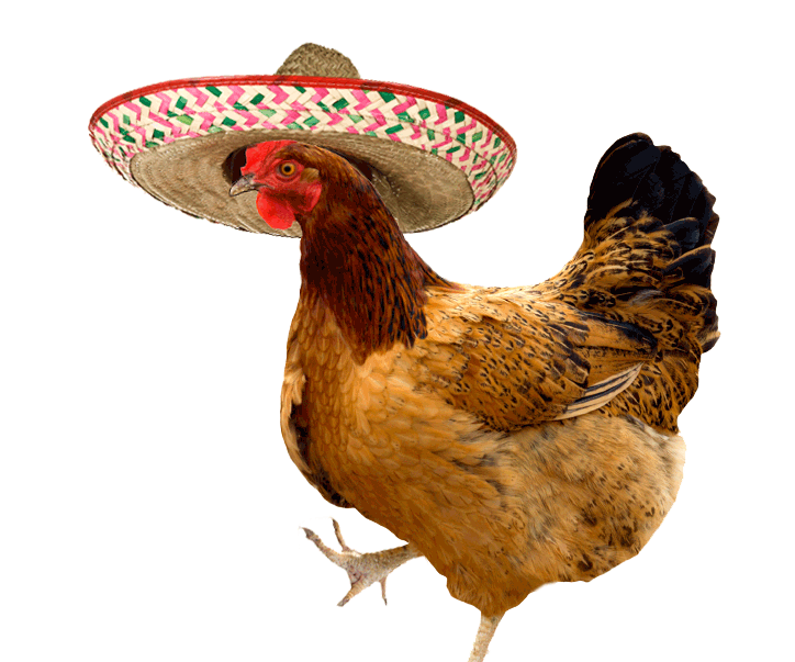 Chicken Water Bowl