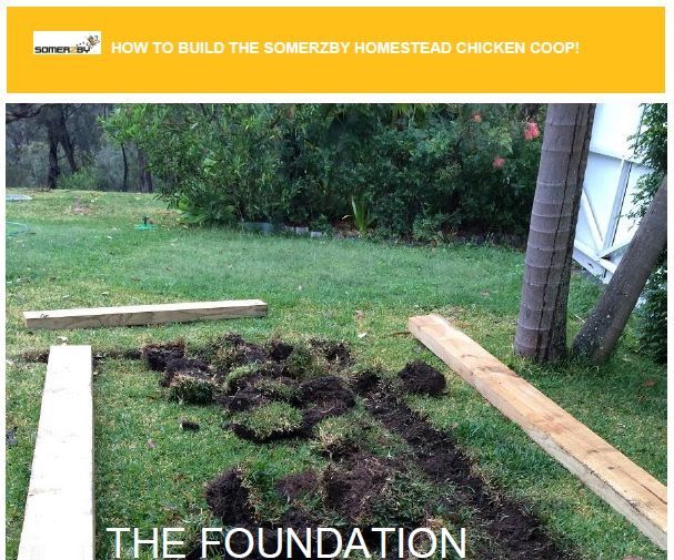 How to Build a Chicken Coop