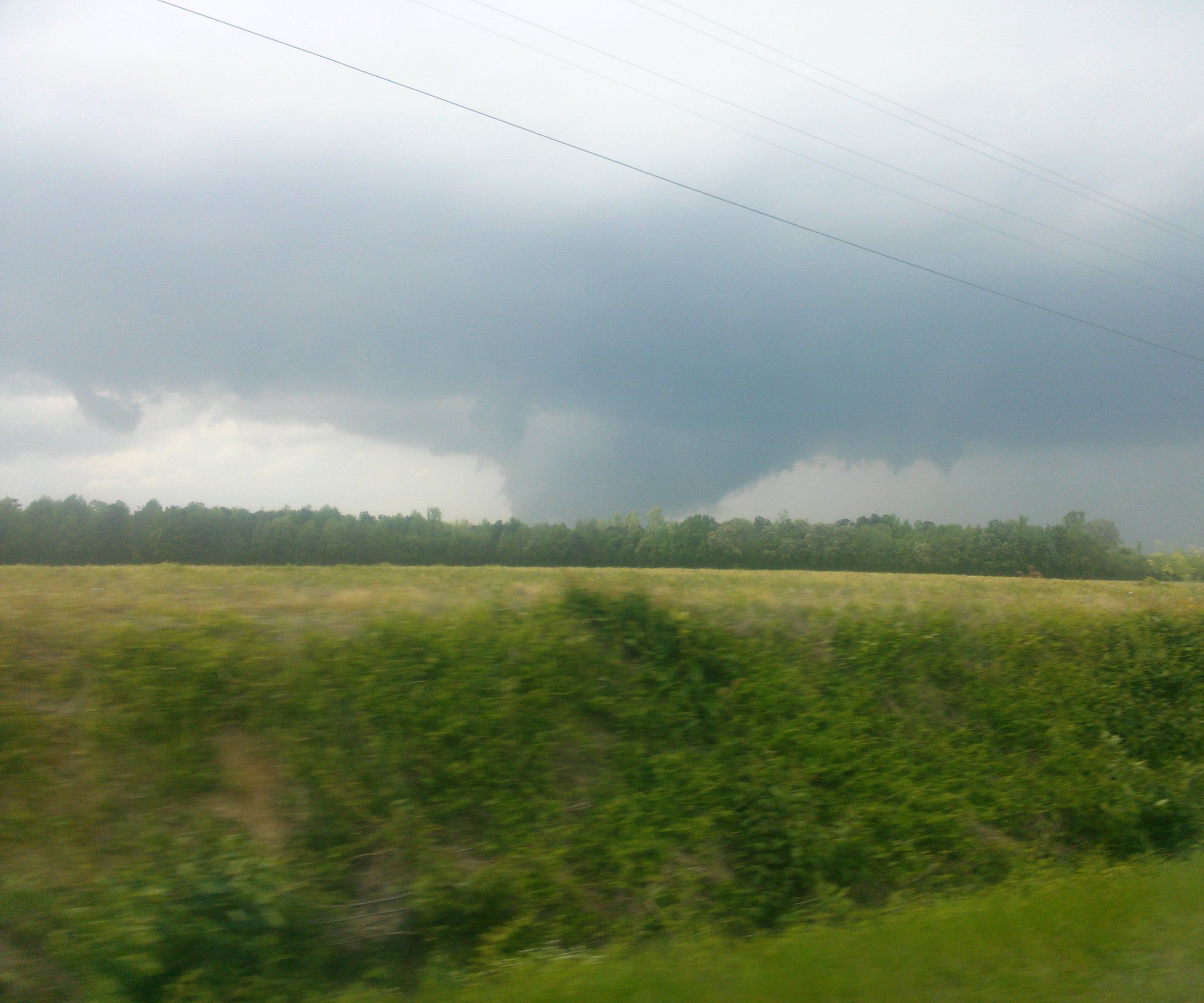 Dog Emergency Supply Kit