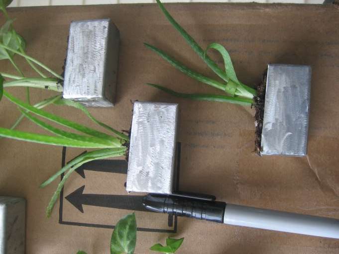 Cubicle Planters, a Garden in Your Cube