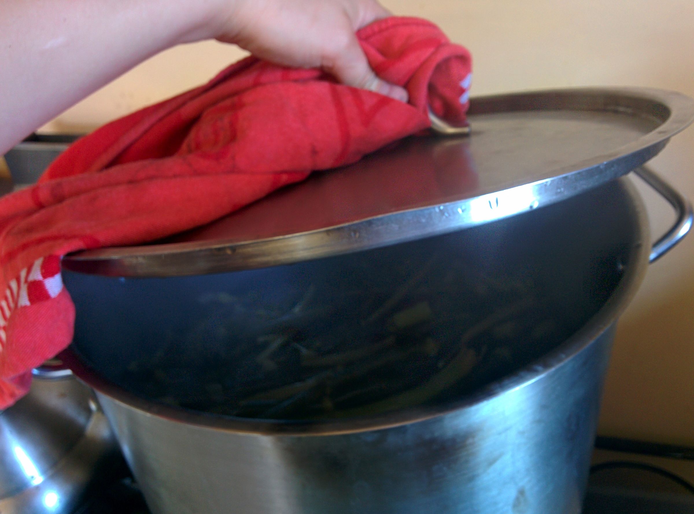 Fennel Stalk Soup Stock 3 Steps Instructables