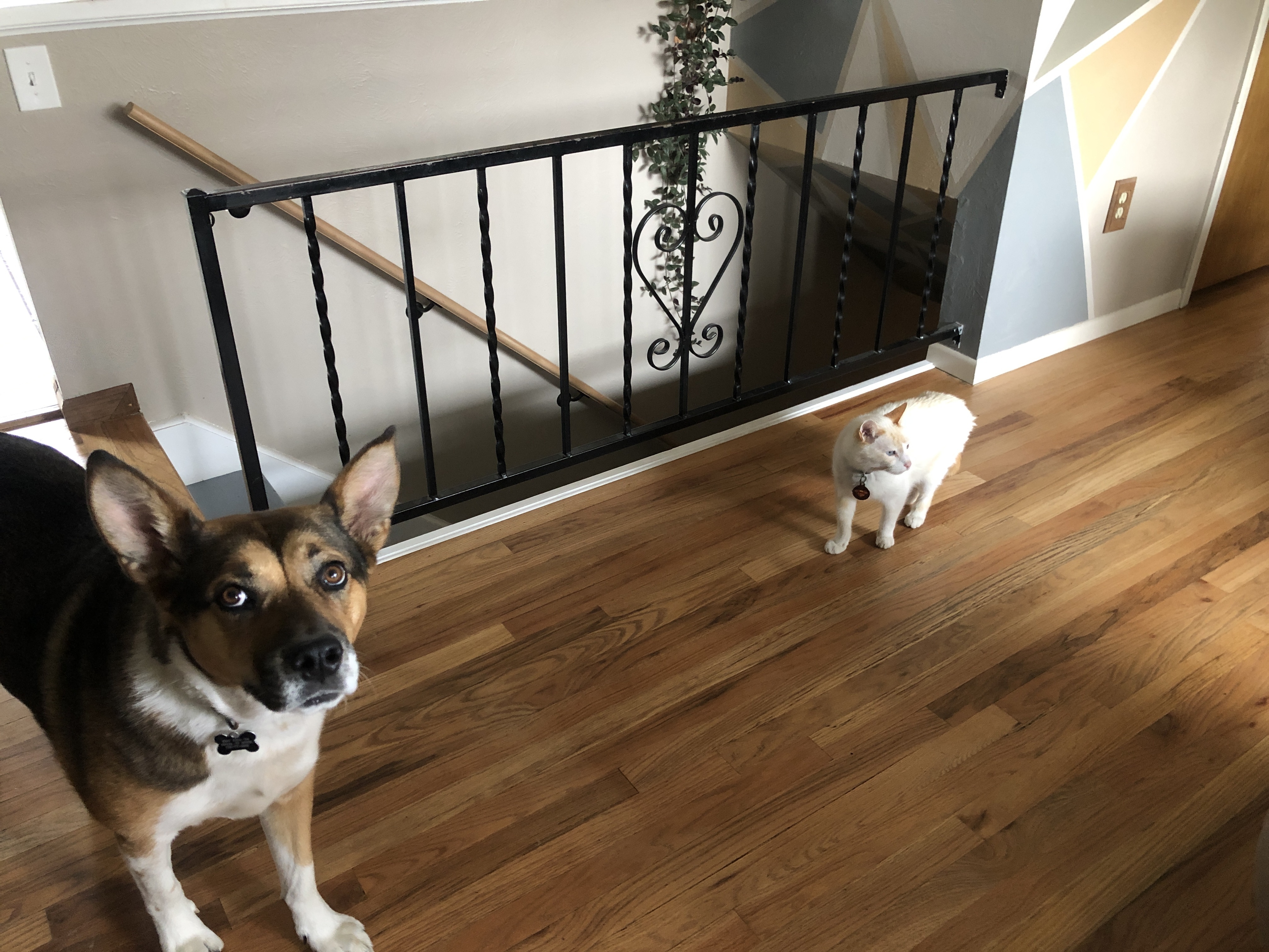 Bookcase Banister 7 Steps (with Pictures) Instructables