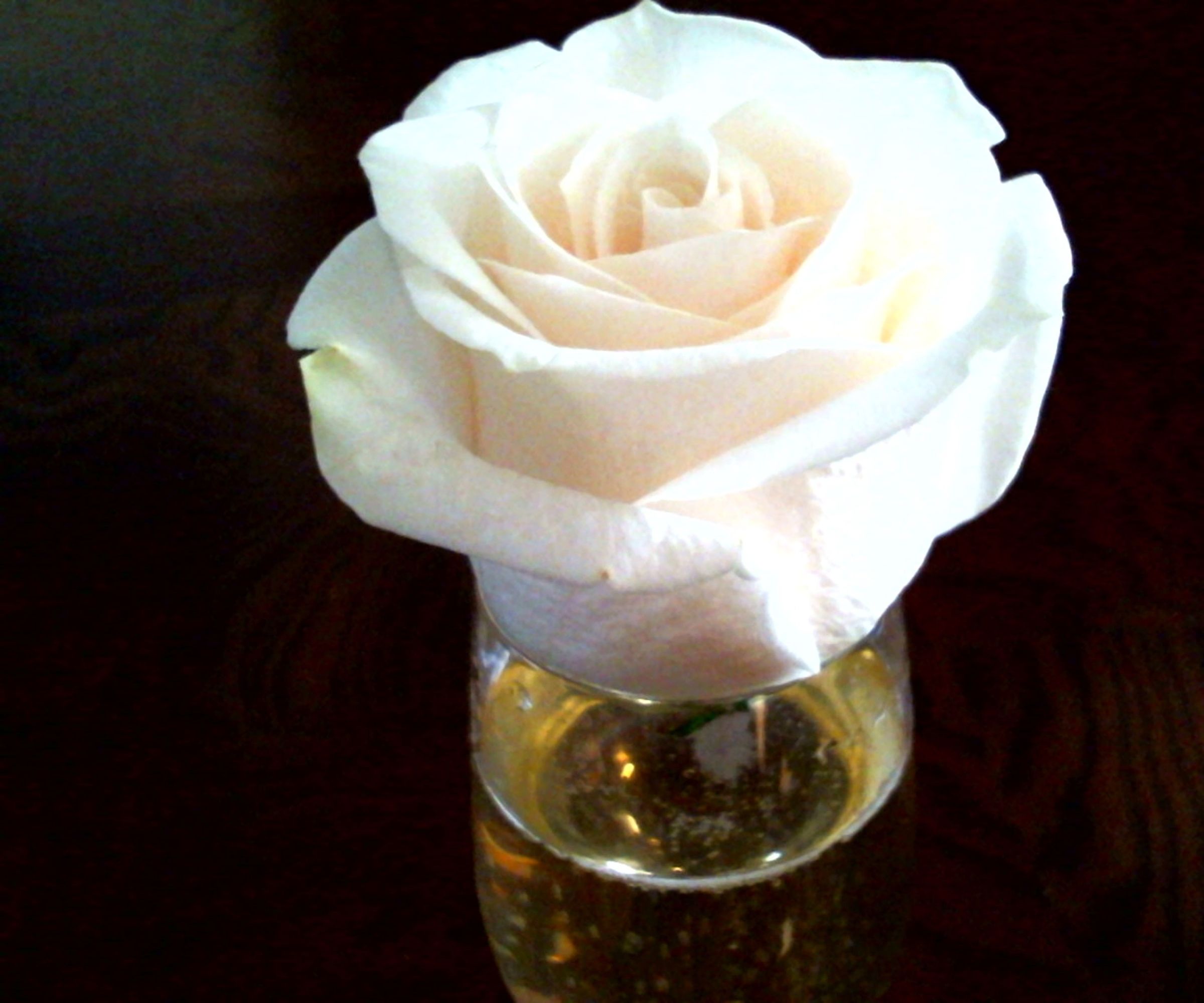 Shiro Hana (White Flower) Cocktail