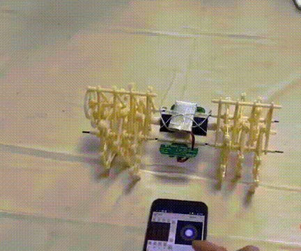 Walking Strandbeest, Java/Python and App Controlled