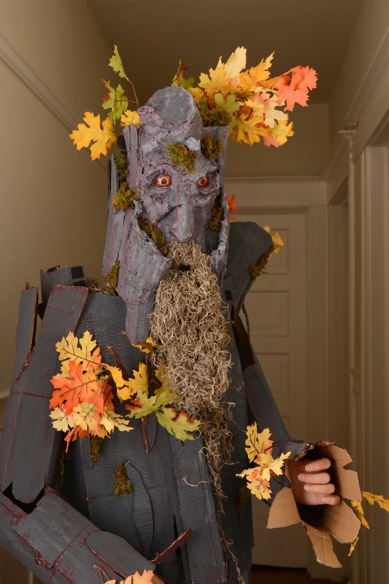 Treebeard Step-by-step