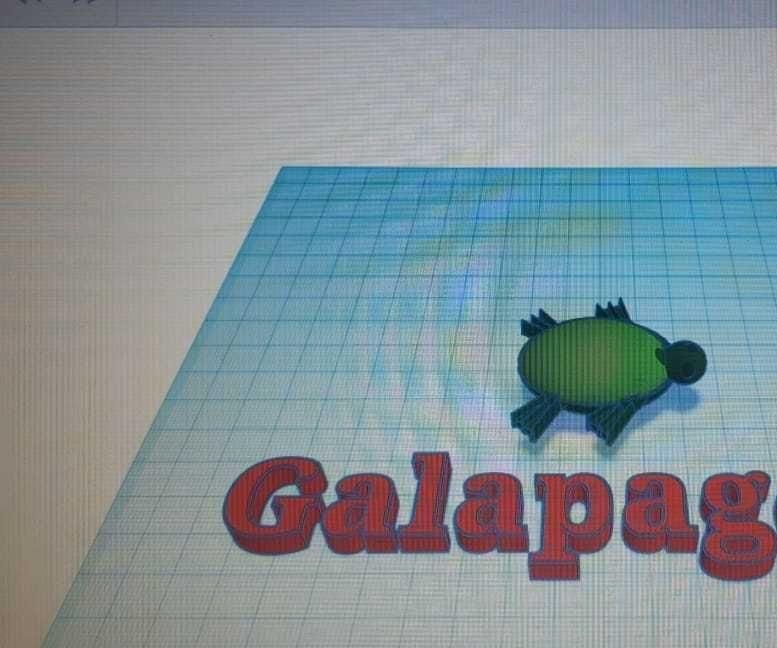Galapagos Tortoise
