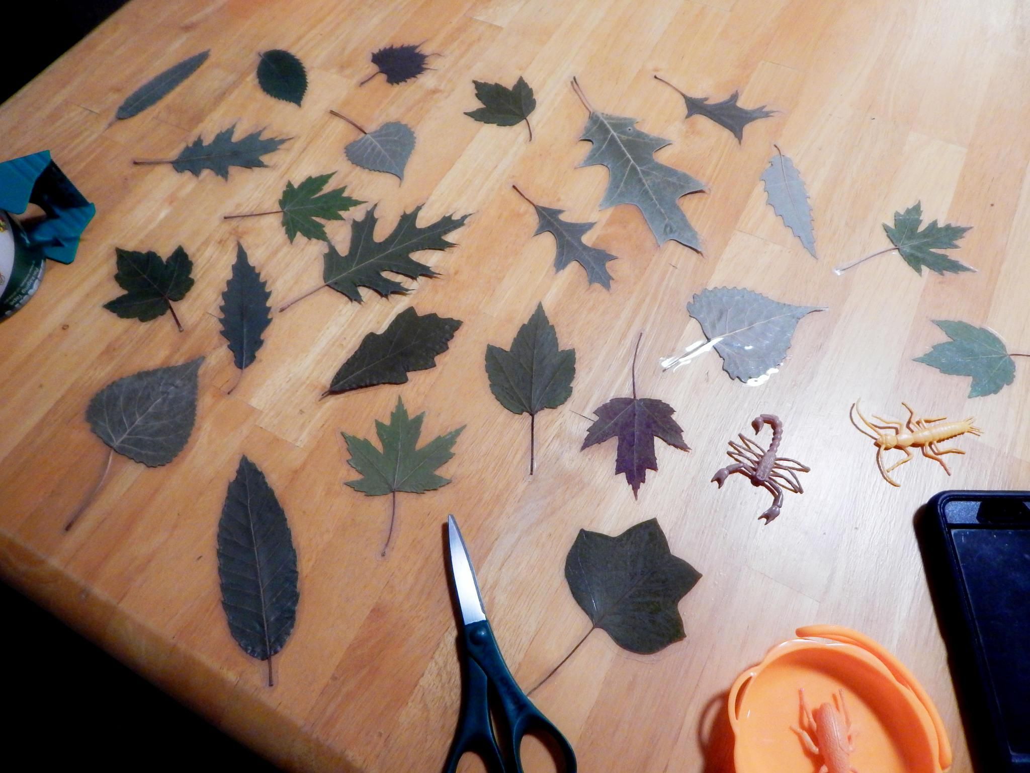DIY Laminated Leaf Bookmarks 4 Steps (with Pictures) Instructables