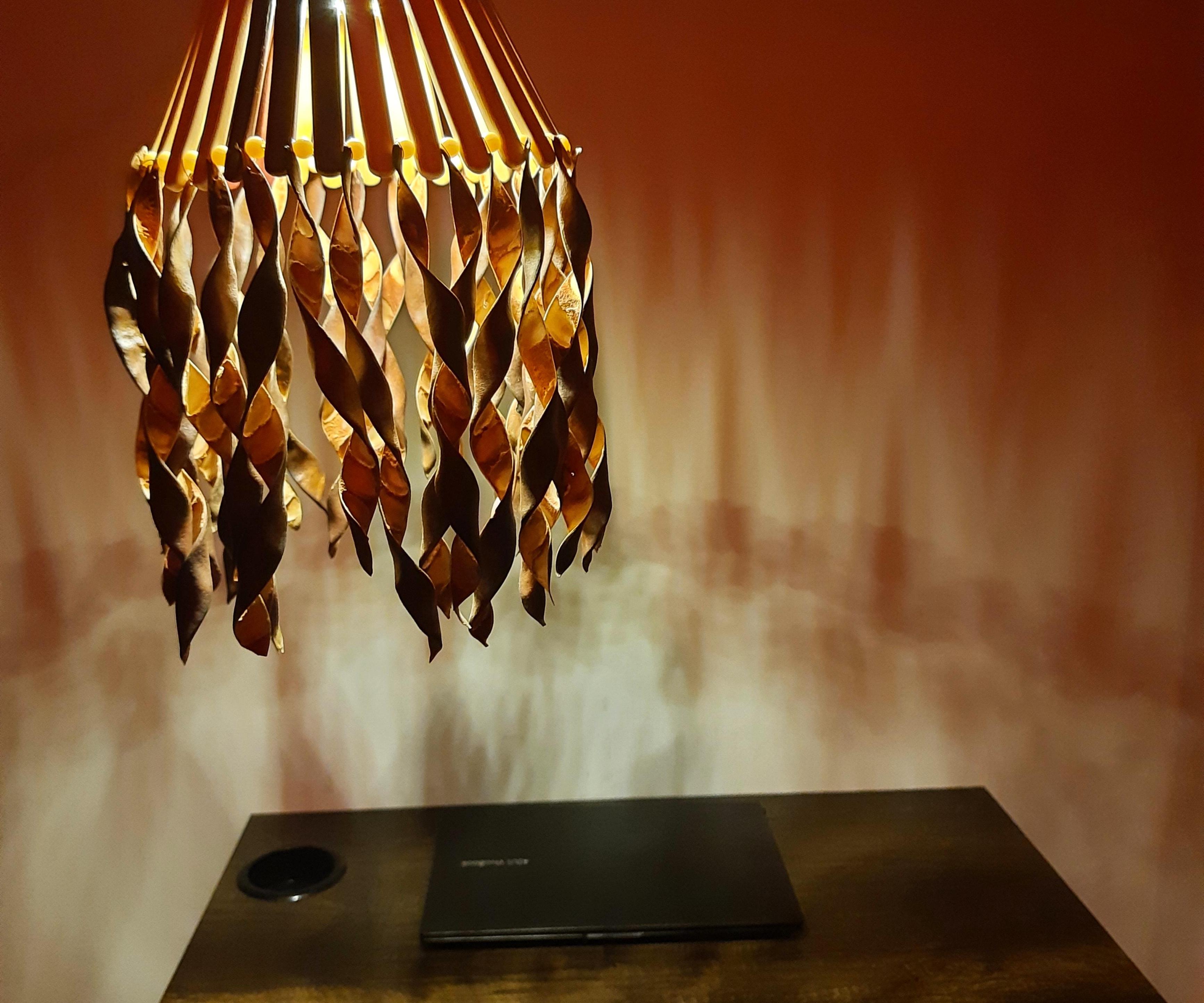 Lamp Using Kachnar (Bauhinia Variegata) Seed Pods कचनार लैंप 