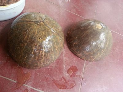 DIY Coconut Shell Jewelry Box : 4 Steps (with Pictures) - Instructables
