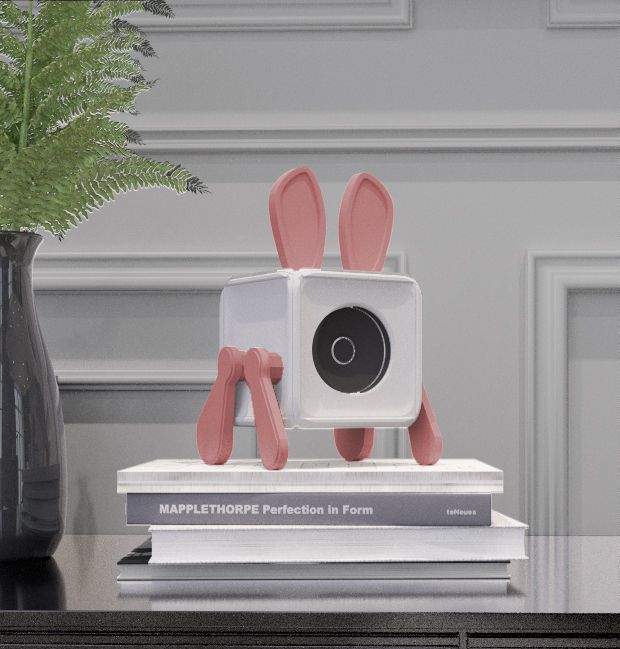 Rabbit Cube