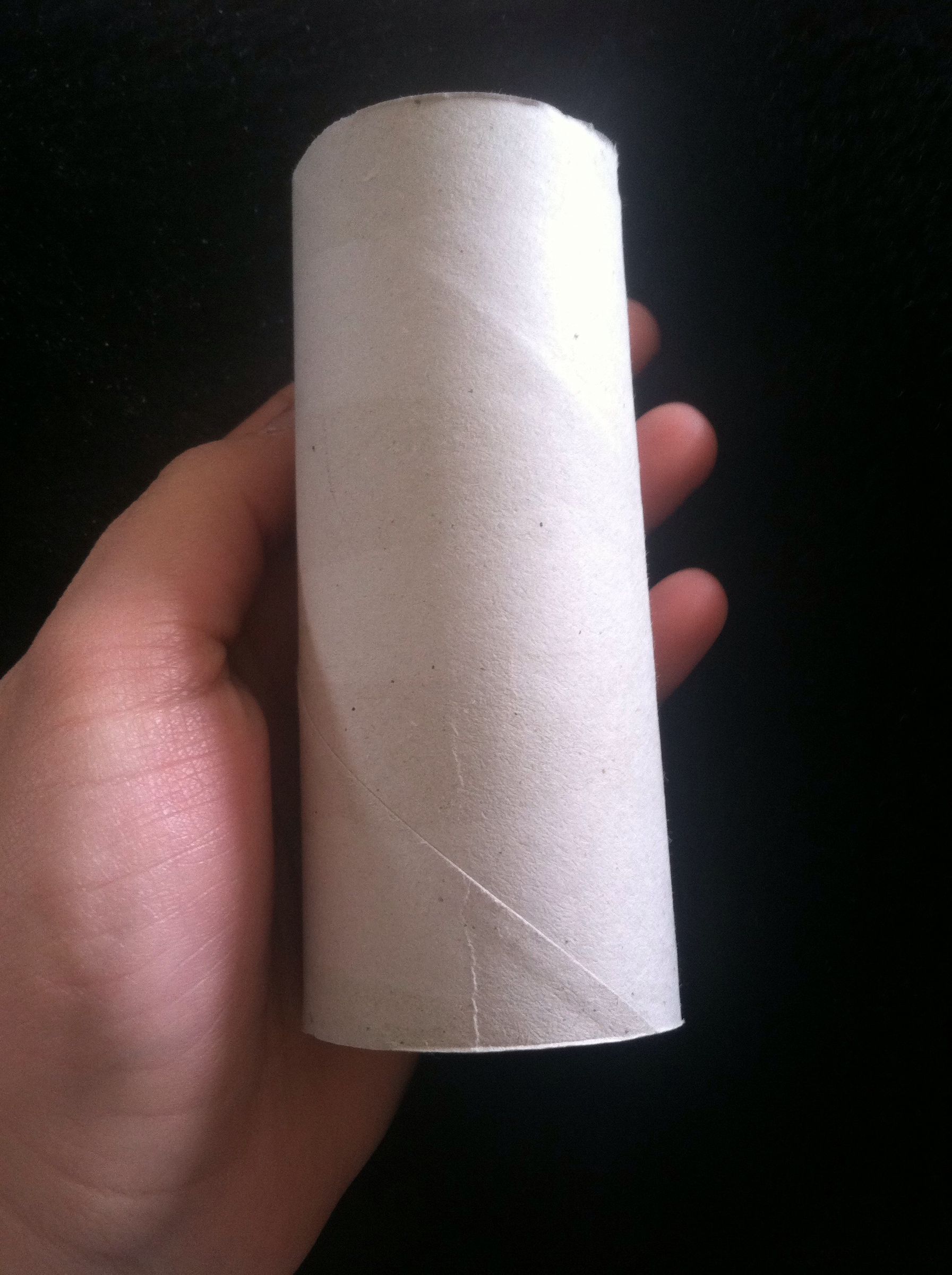 3 Uses for a Toilet Paper Roll