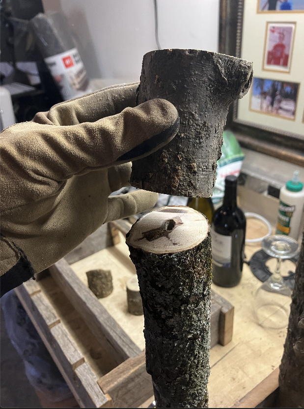 Rough Cut the Tree Branch Legs