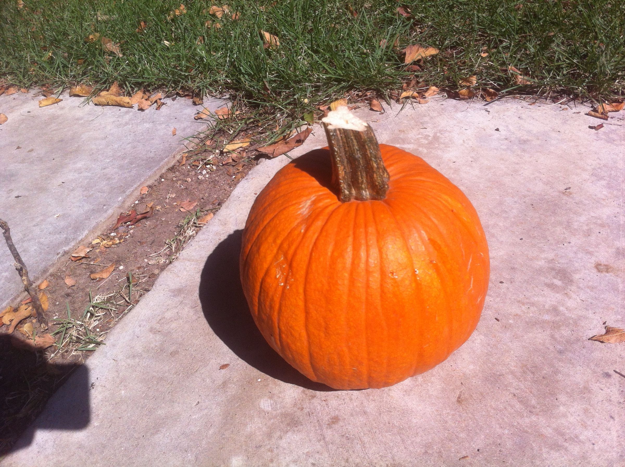 How to Reuse Your Pumpkin After Halloween 6 Steps (with Pictures) Instructables