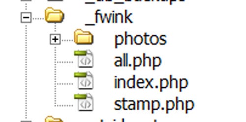 Set Up the Folders